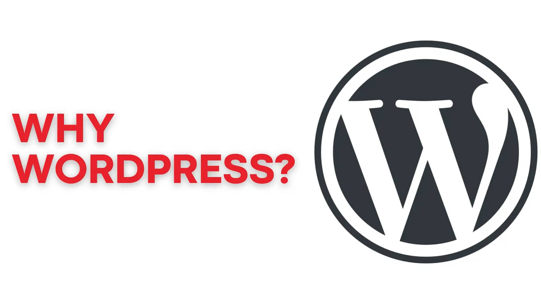 Why should I choose WordPress in 2024?